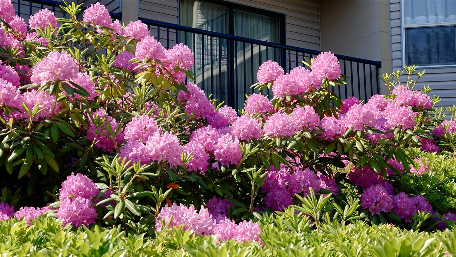 Best Western Northgate Nanaimo Bagian luar foto